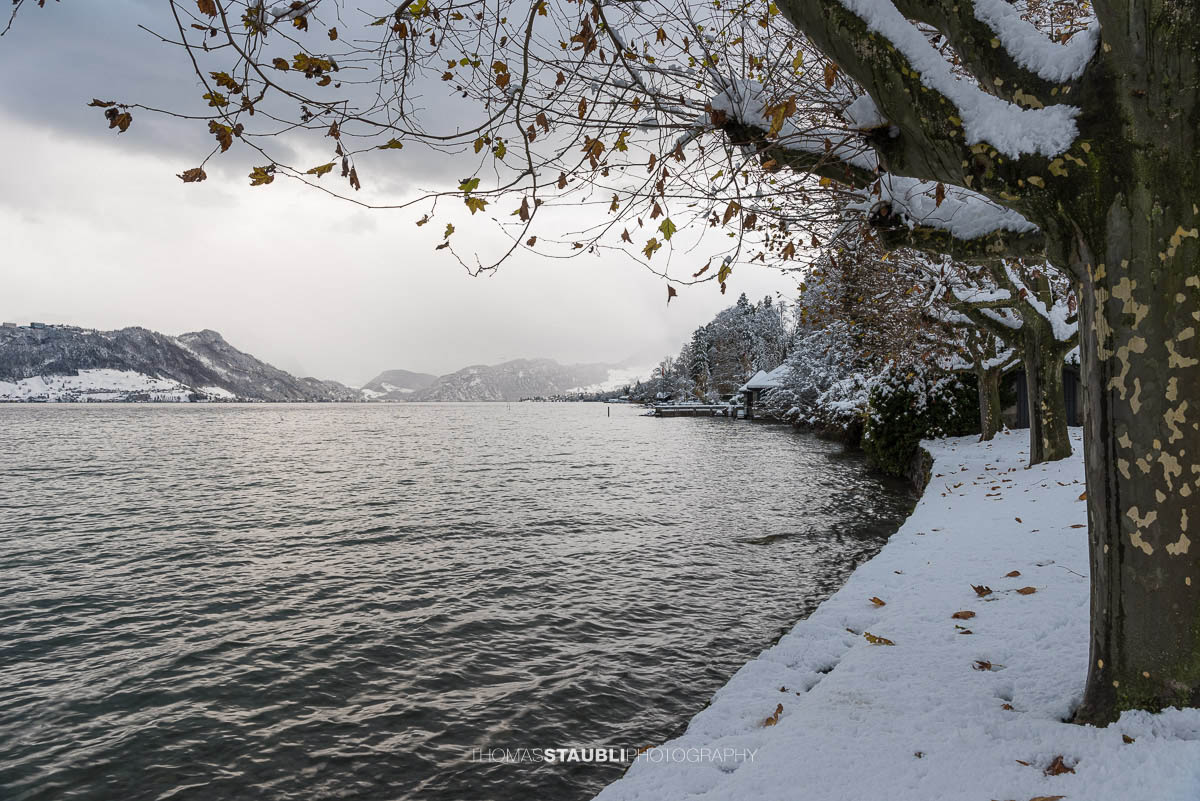 winterliche Stimmung am Vierwaldstättersee bei Meggen