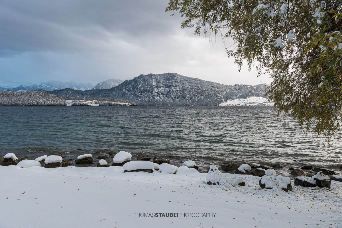 winterliche Stimmung am Vierwaldstättersee bei Meggen