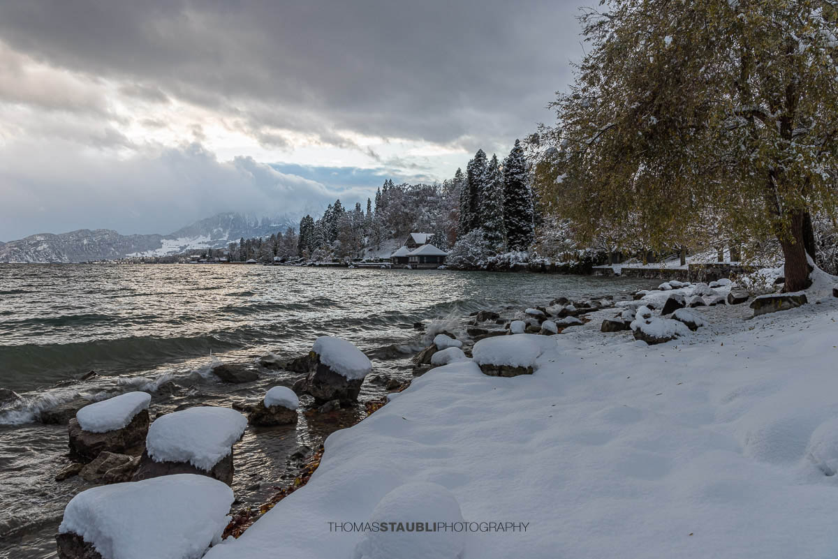winterliche Stimmung am Vierwaldstättersee bei Meggen