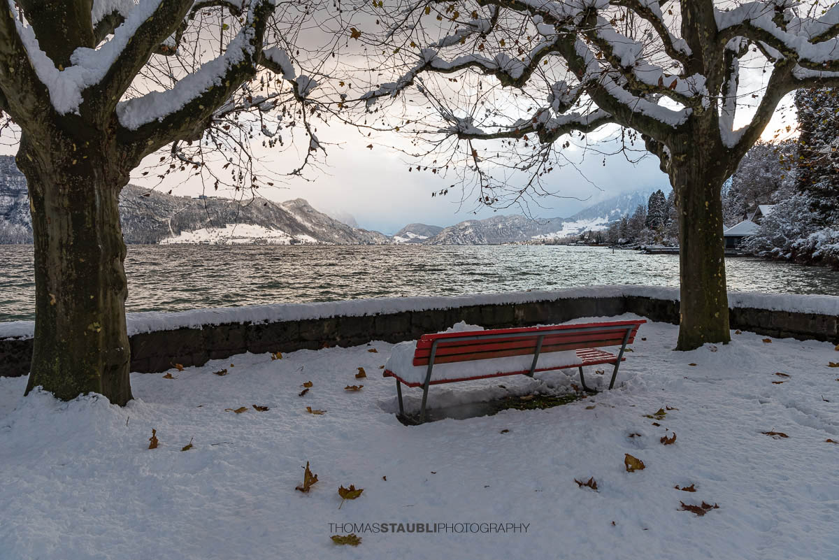 Winterstimmung am Seeacherplatz Meggen