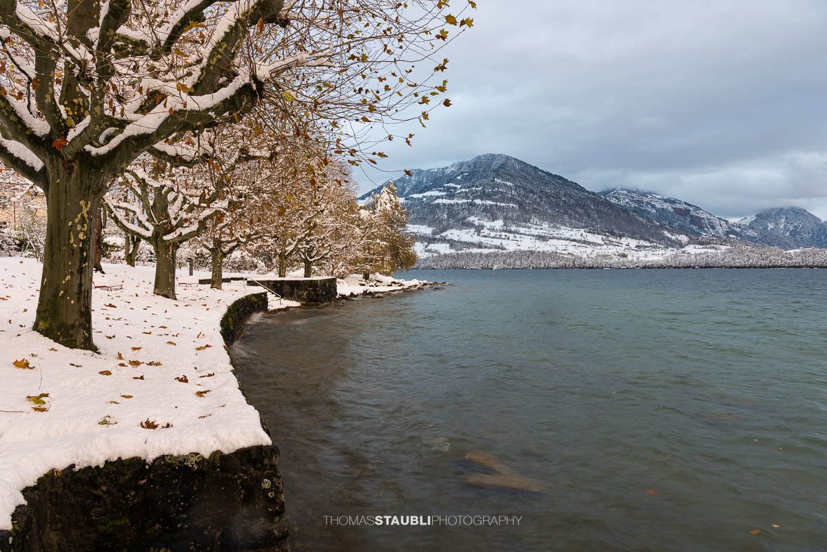Winterstimmung am Seeacherplatz Meggen