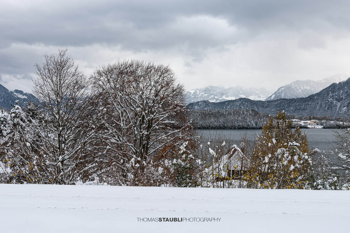 Winterstimmung am Vierwaldstättersee