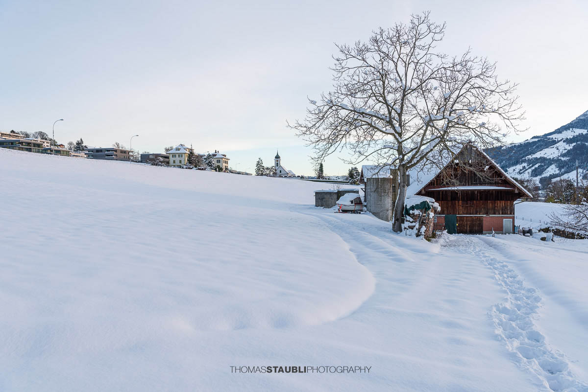 winterliches Meggen am Vierwaldstättersee