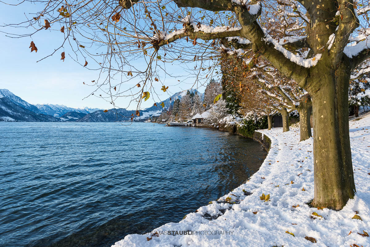 Winterstimmung am Seeacherplatz Meggen