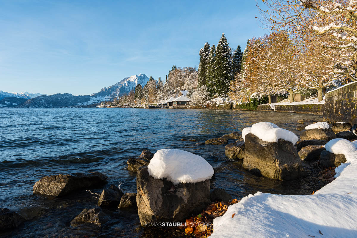 Wintermorgen am Uferweg bei Meggen