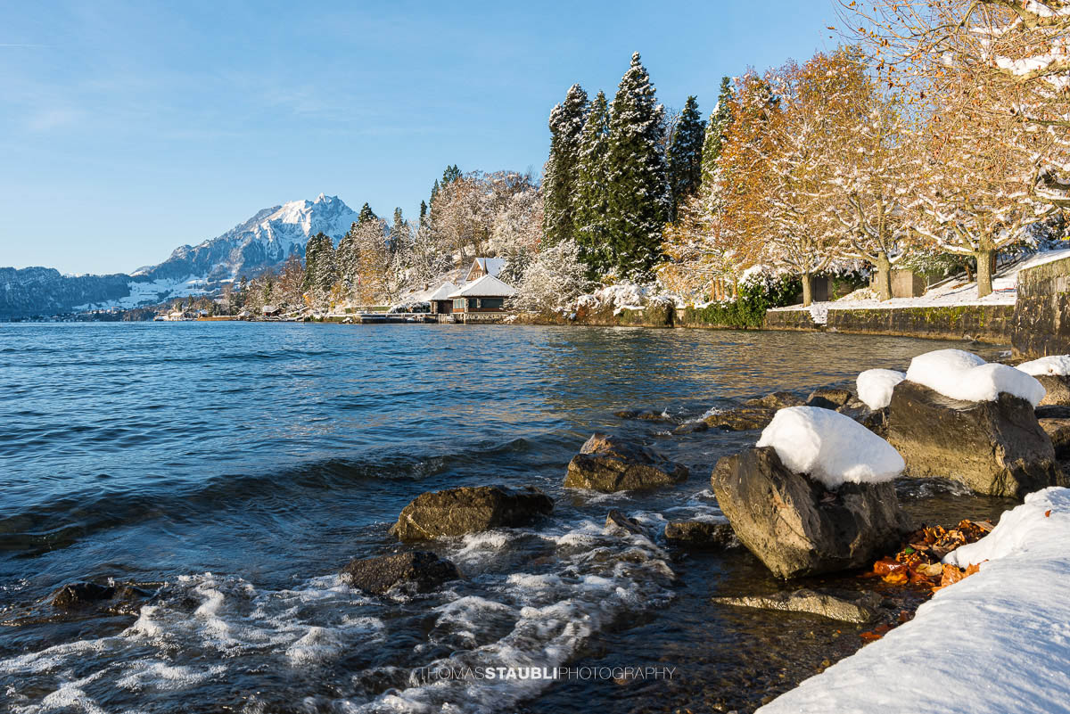 Wintermorgen am Uferweg bei Meggen