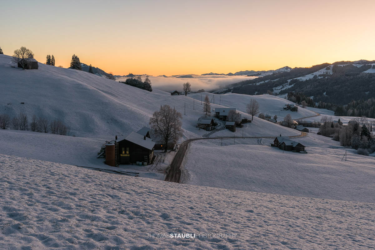 Wintermorgen bei Schönau im Appenzellerland