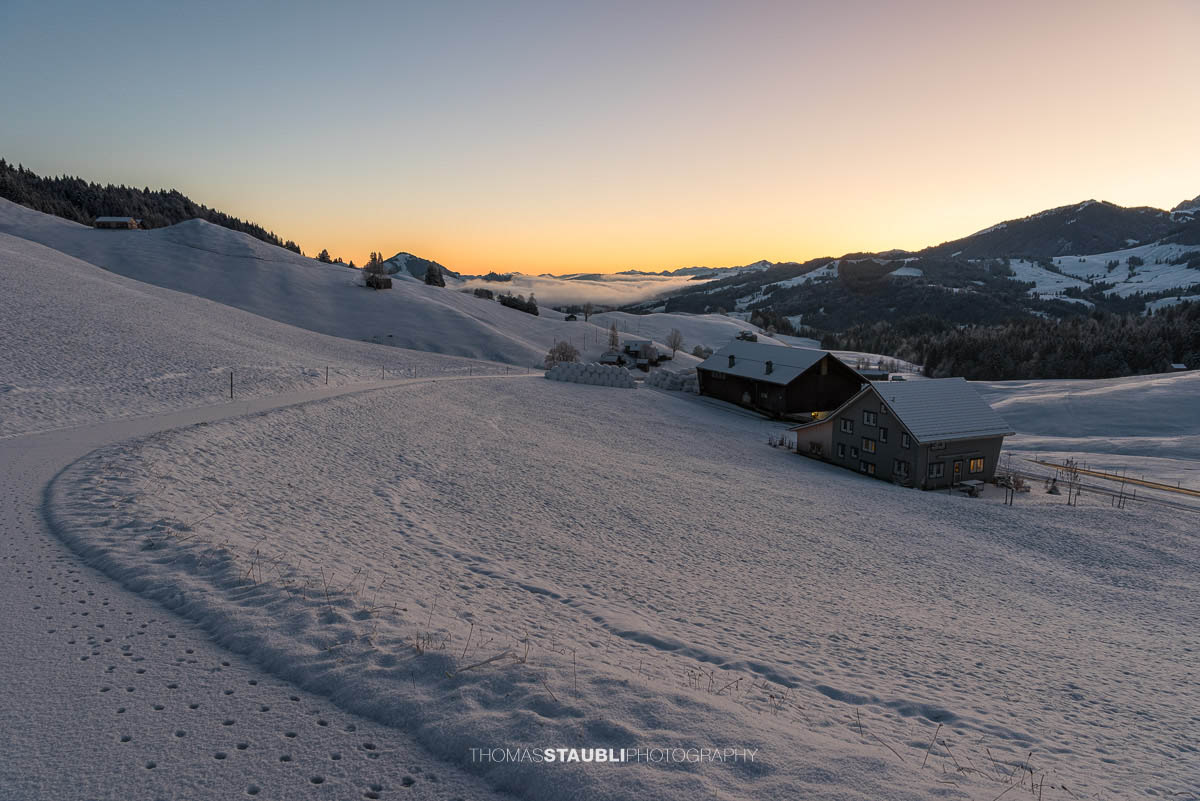Wintermorgen bei Schönau im Appenzellerland