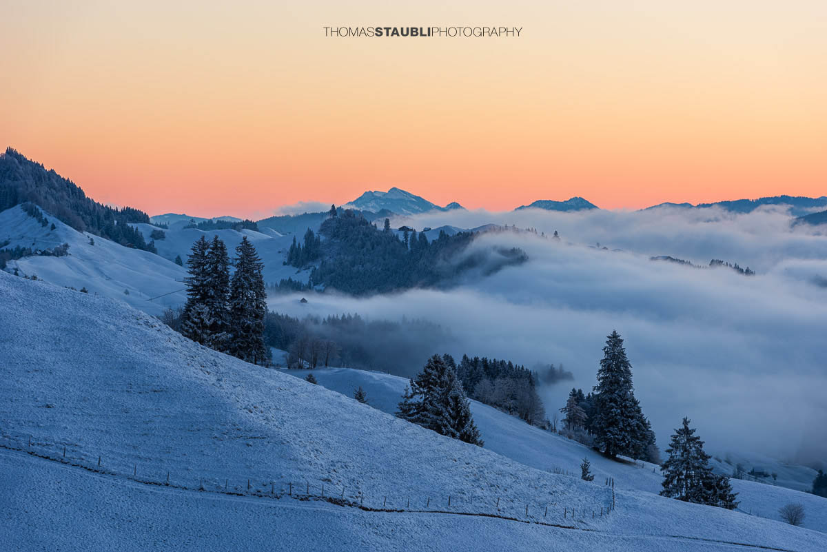 Winterliche Landschaft am Hochhamm im Appenzellerland