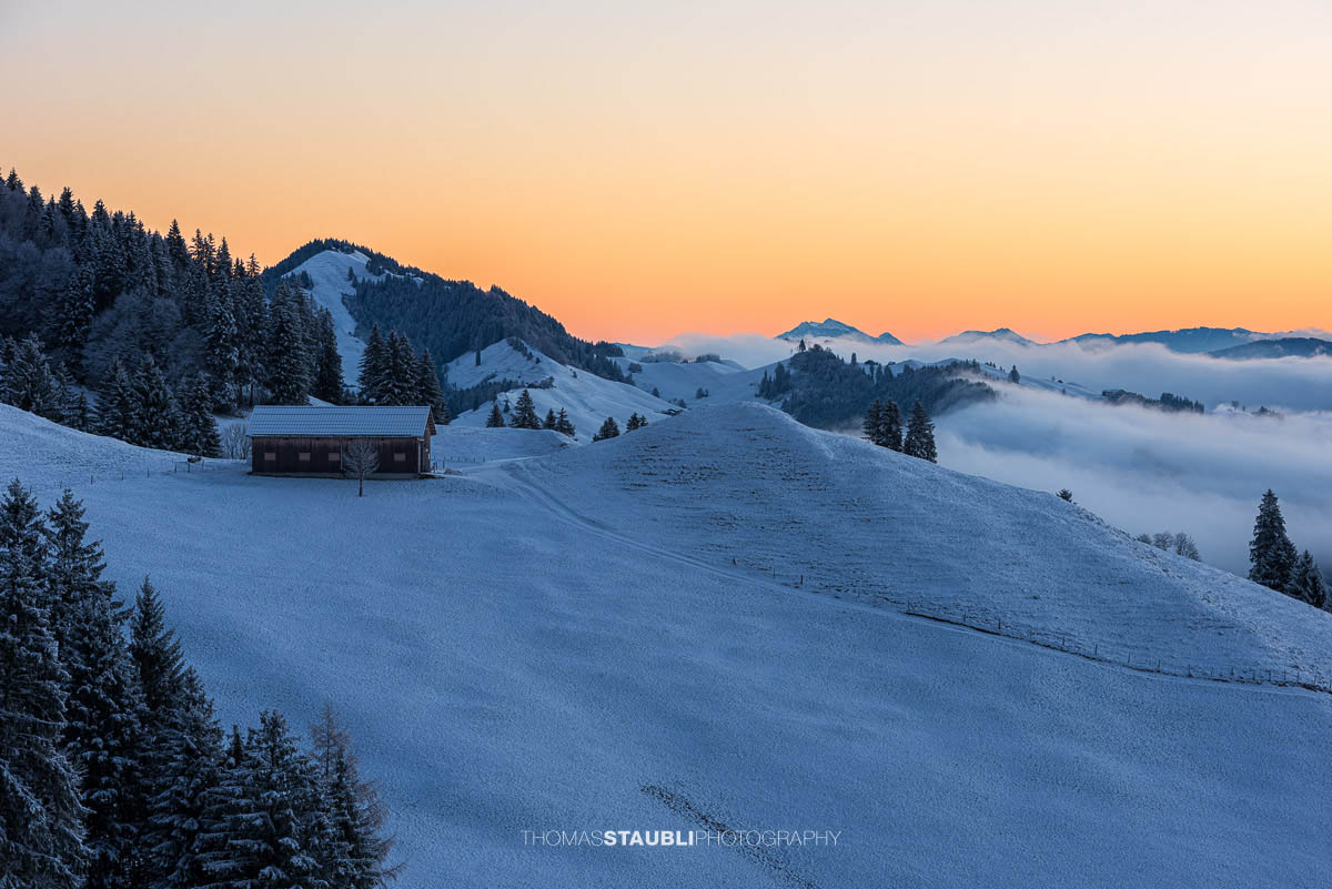 Winterliche Landschaft am Hochhamm im Appenzellerland