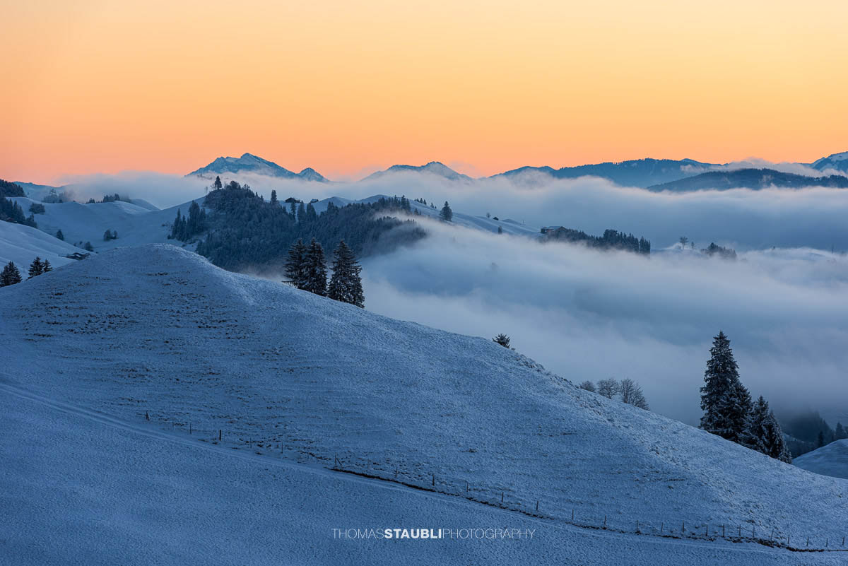 Winterliche Landschaft am Hochhamm im Appenzellerland