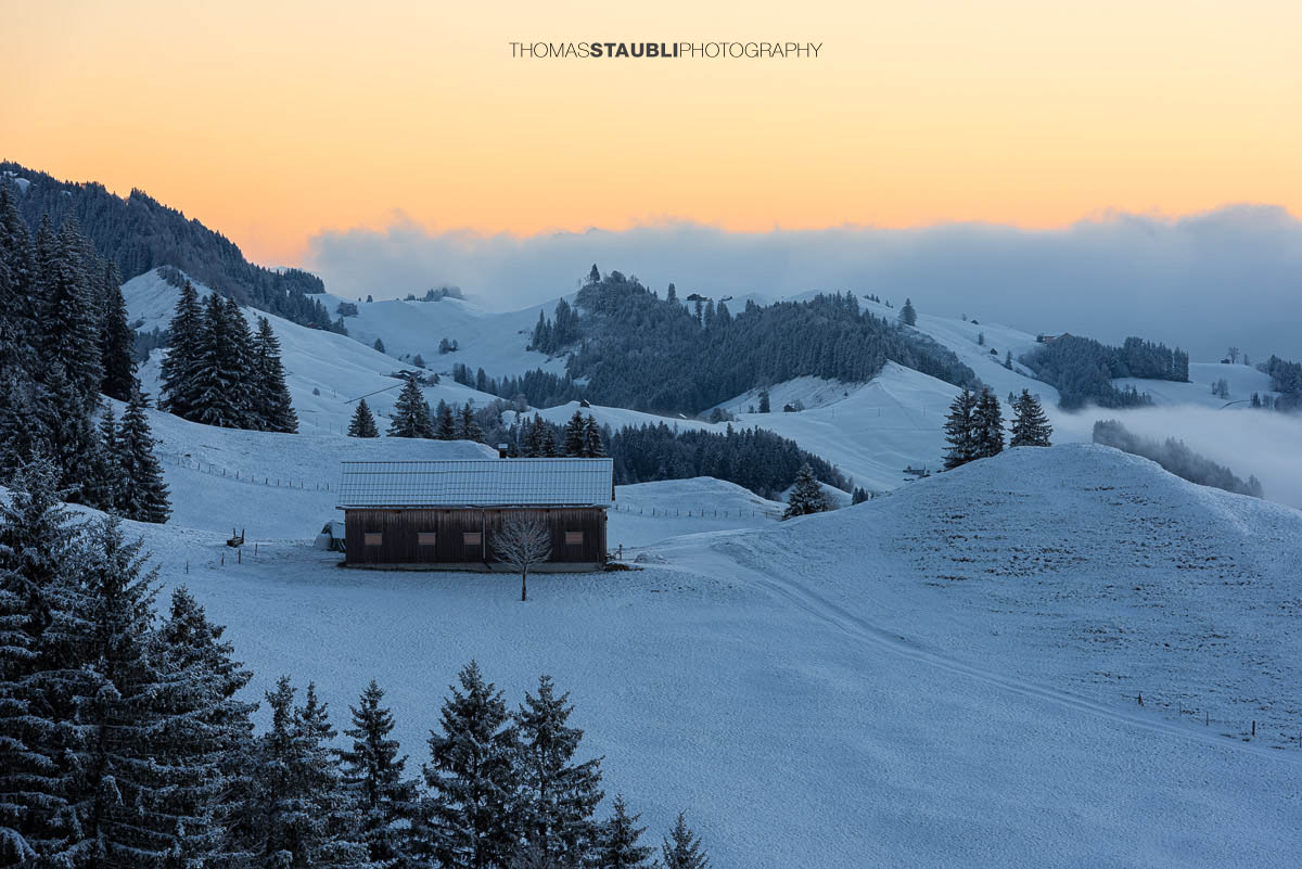 Winterliche Landschaft am Hochhamm im Appenzellerland