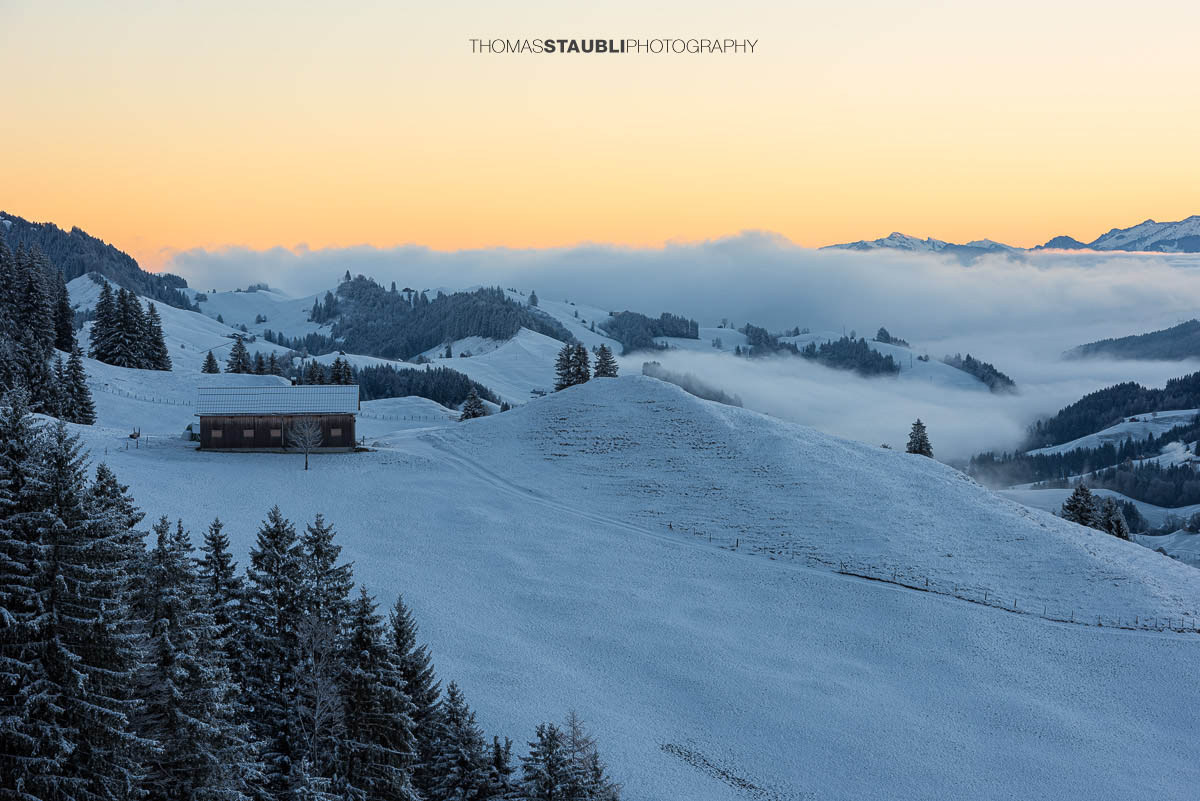 Winterliche Landschaft am Hochhamm im Appenzellerland