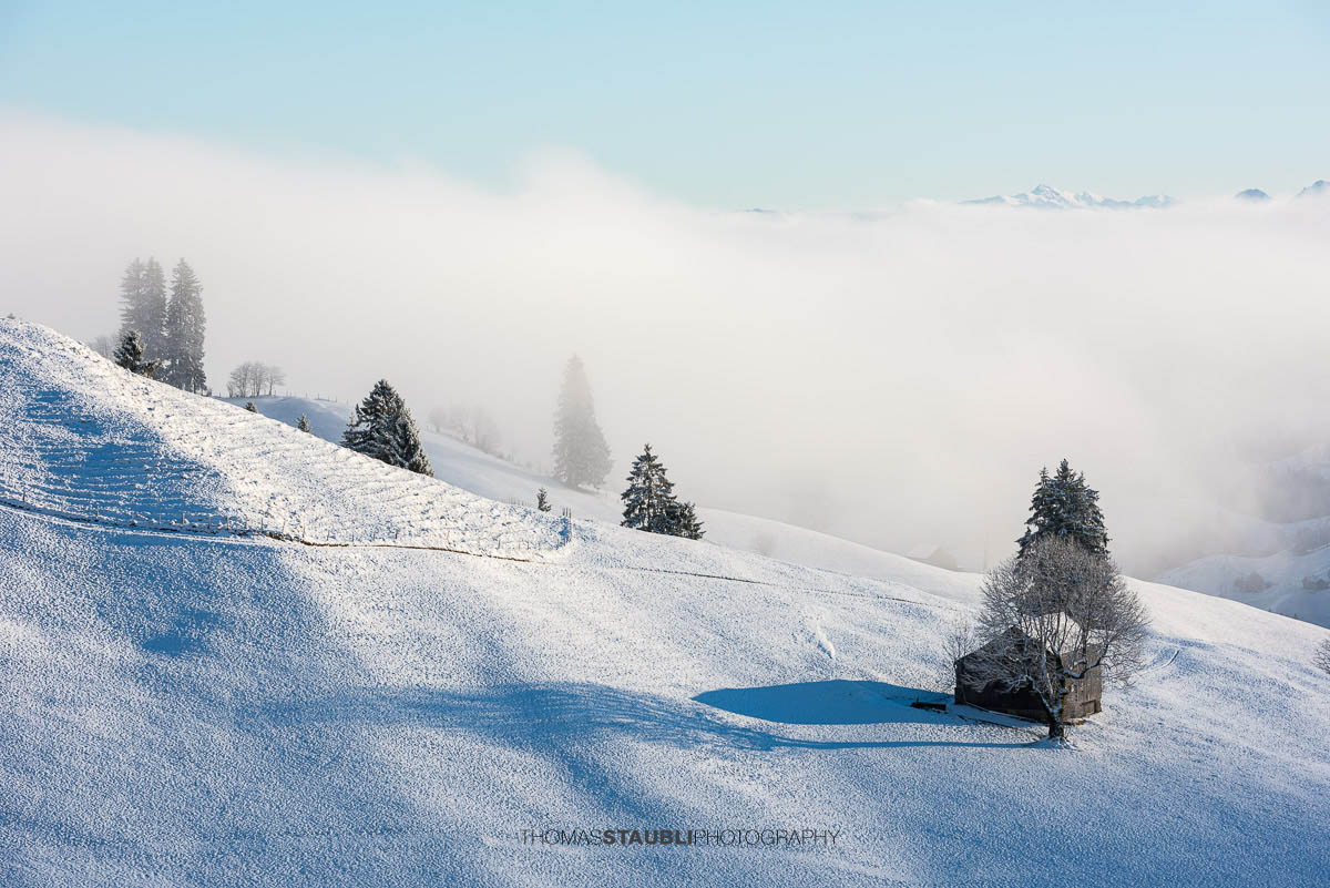 Winterliche Landschaft am Hochhamm im Appenzellerland