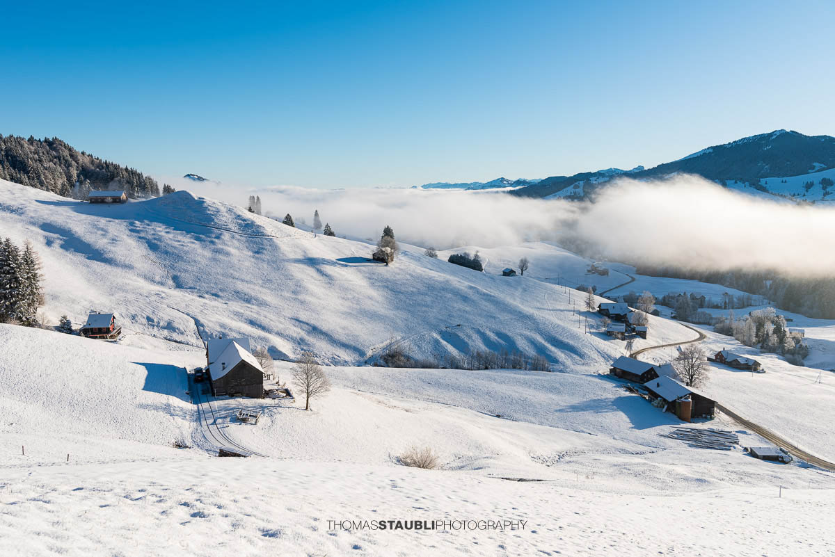 Winterliche Landschaft am Hochhamm im Appenzellerland