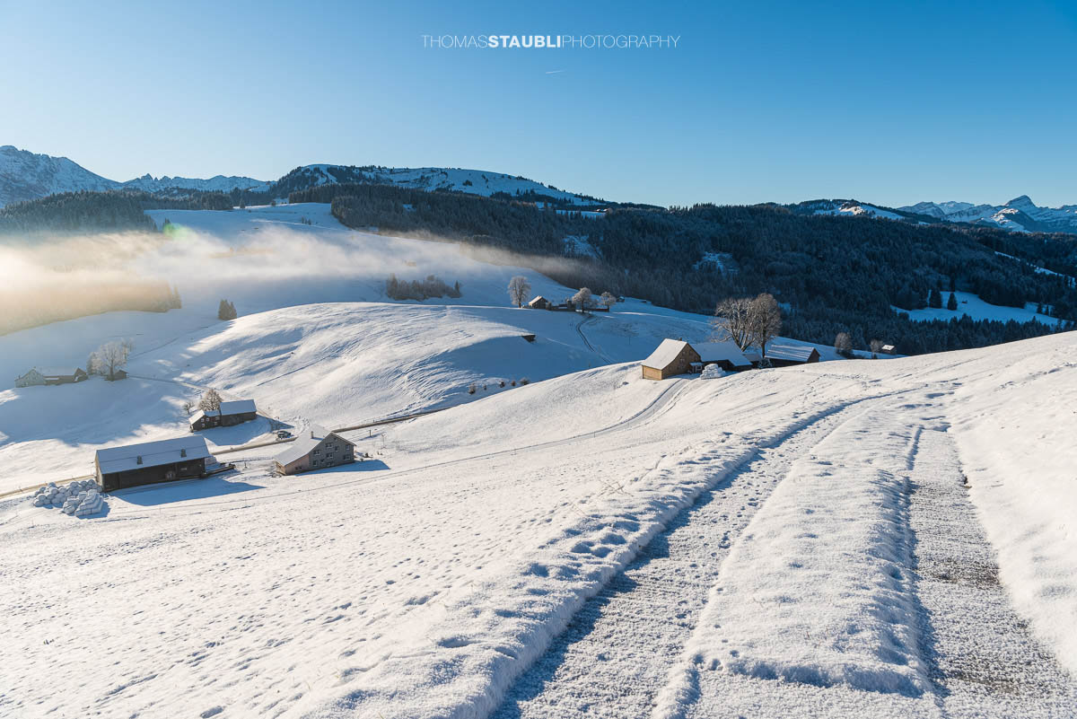 Winterliche Landschaft am Hochhamm im Appenzellerland