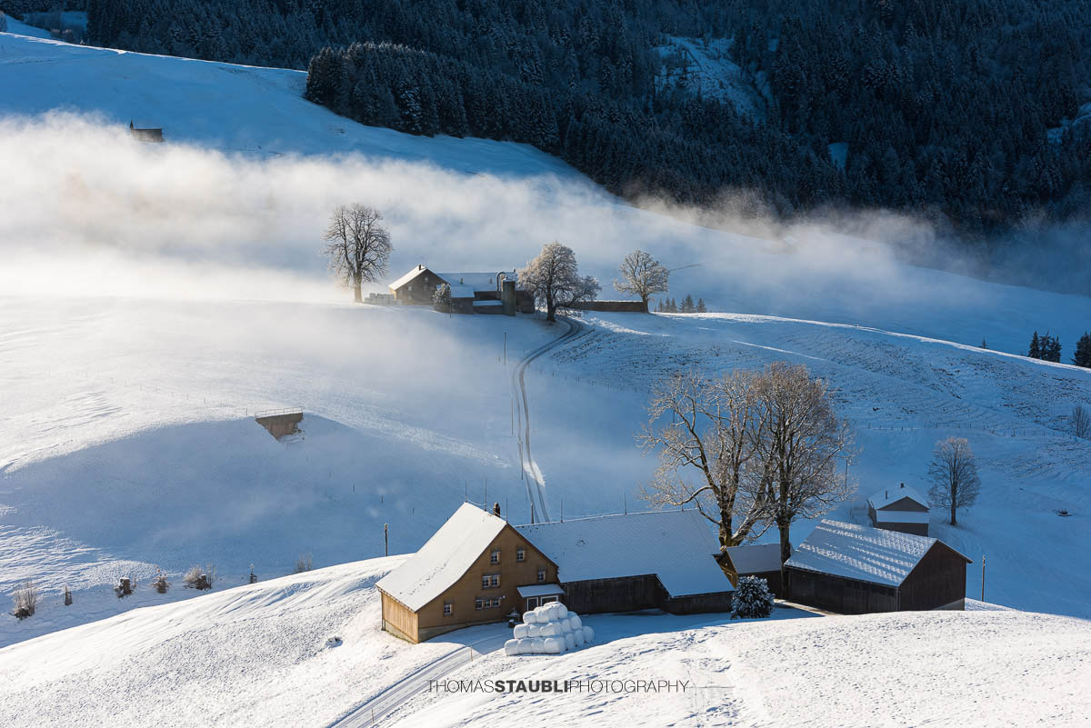 Winterliche Landschaft am Hochhamm im Appenzellerland