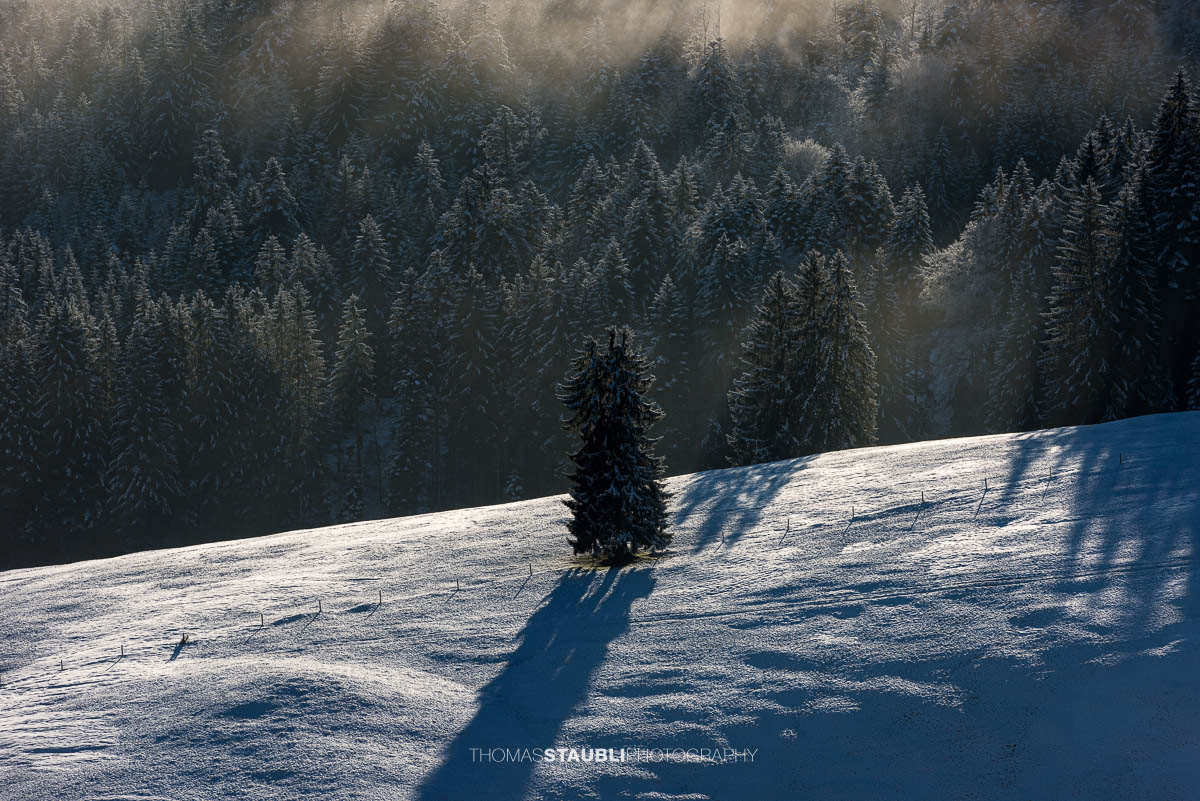 Winterimpressionen aus dem Appenzellerland