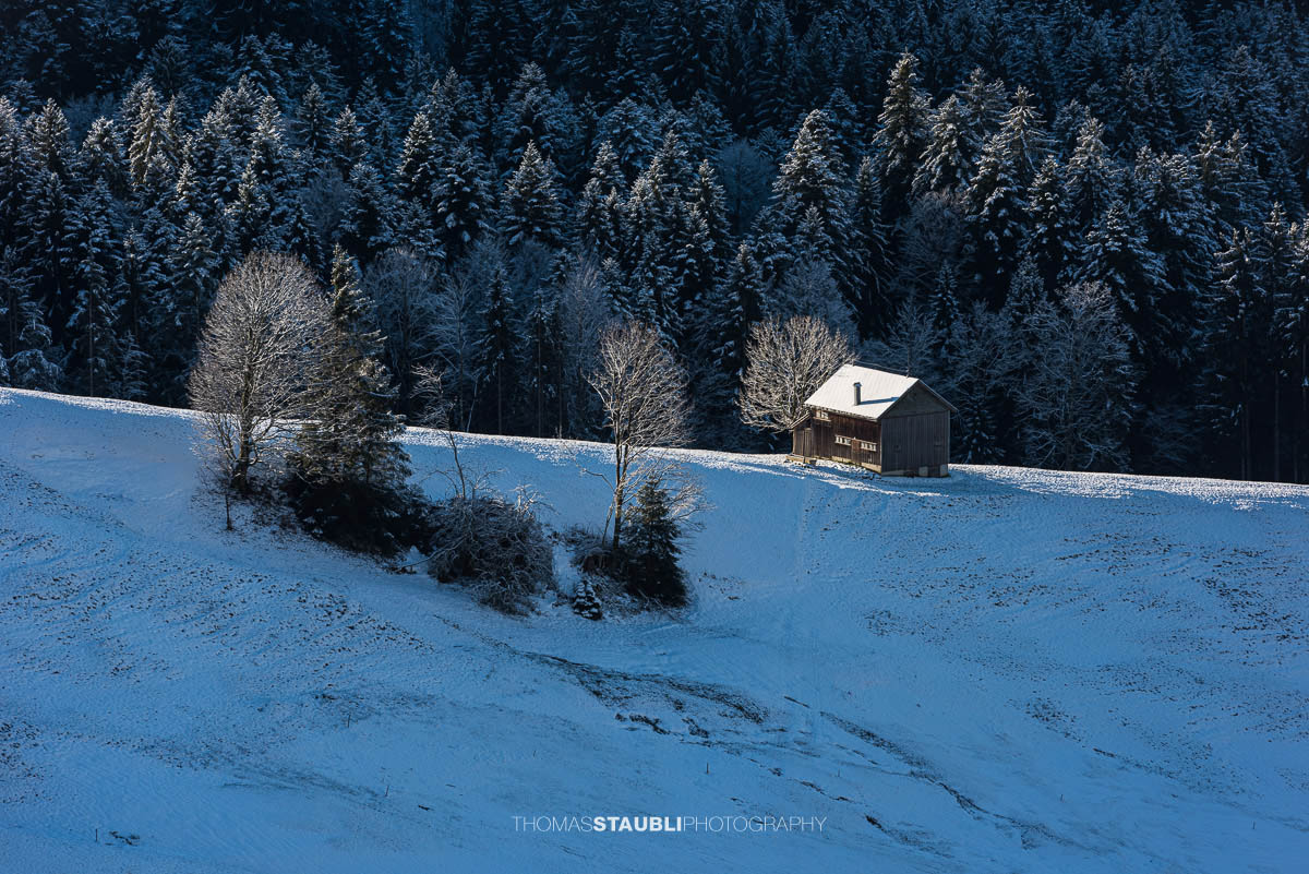 Winterliche Landschaft am Hochhamm im Appenzellerland