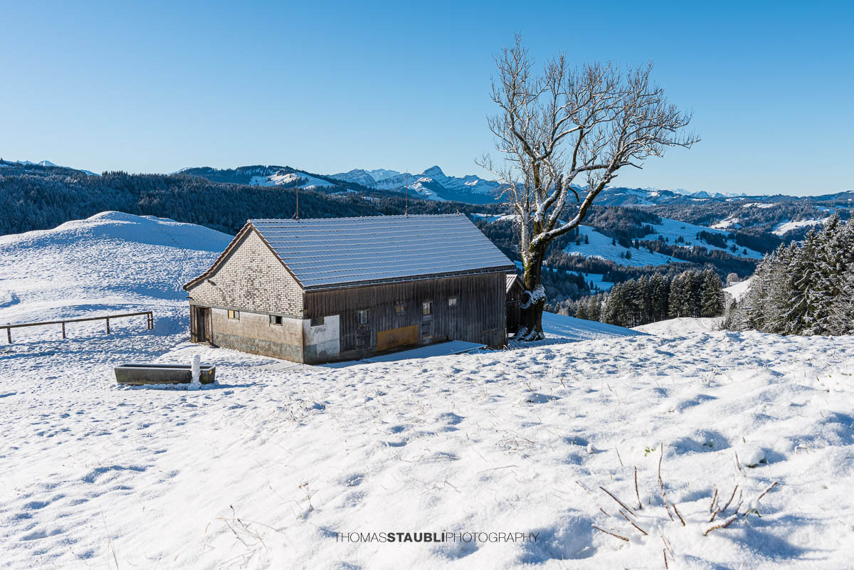 Winterliche Landschaft am Hochhamm im Appenzellerland