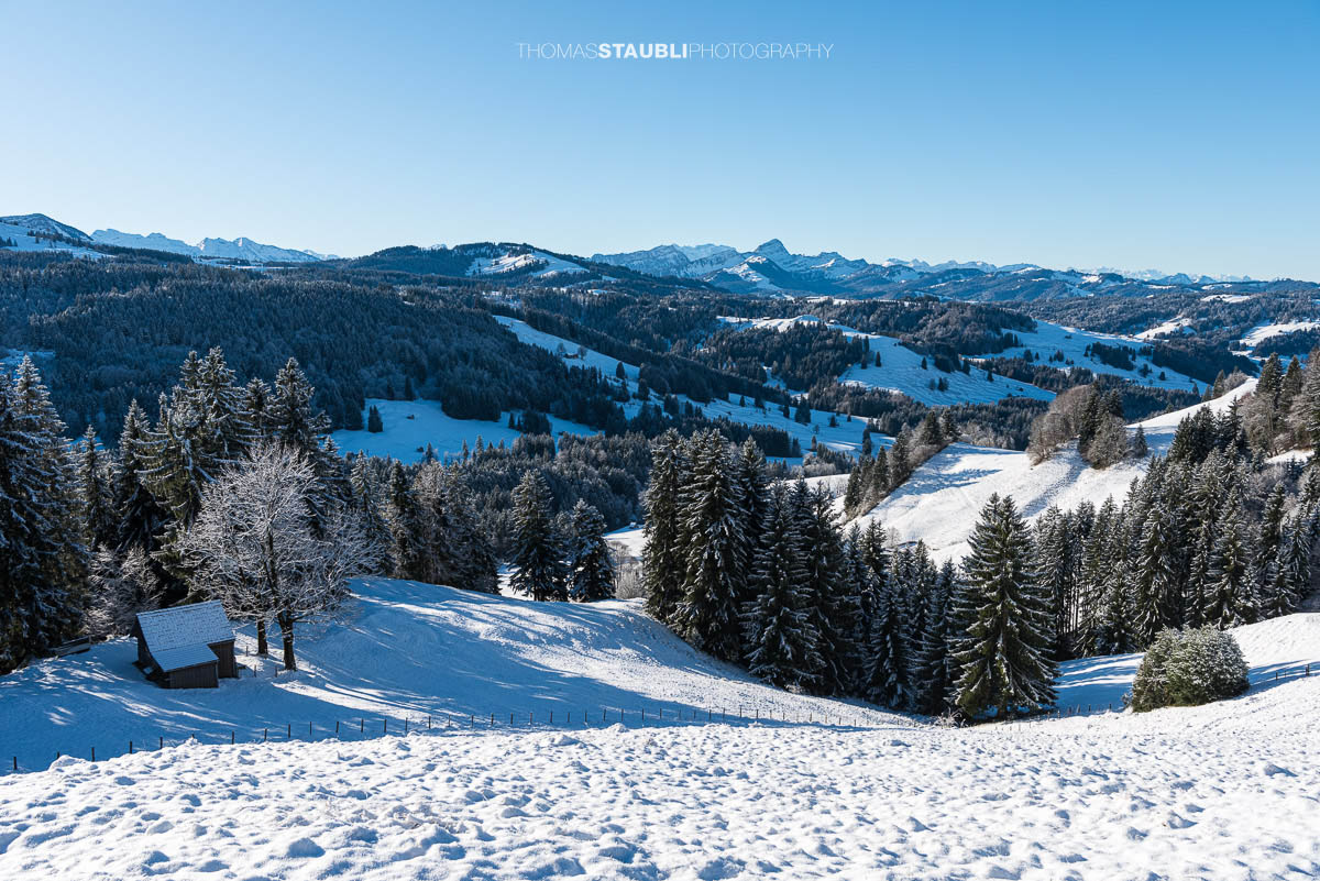 Sonniger Wintertag auf dem Hochhamm im Appenzellerland