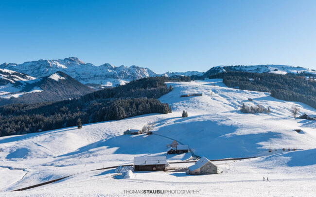 Sonniger Wintertag auf dem Hochhamm im Appenzellerland