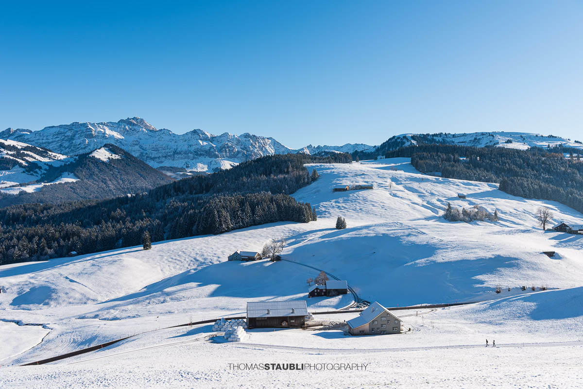 Sonniger Wintertag auf dem Hochhamm im Appenzellerland