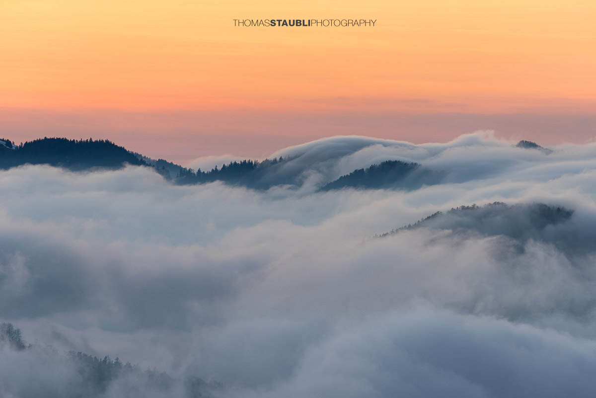 Nebel durchströmt die Hügellandschaft im Appenzellerland