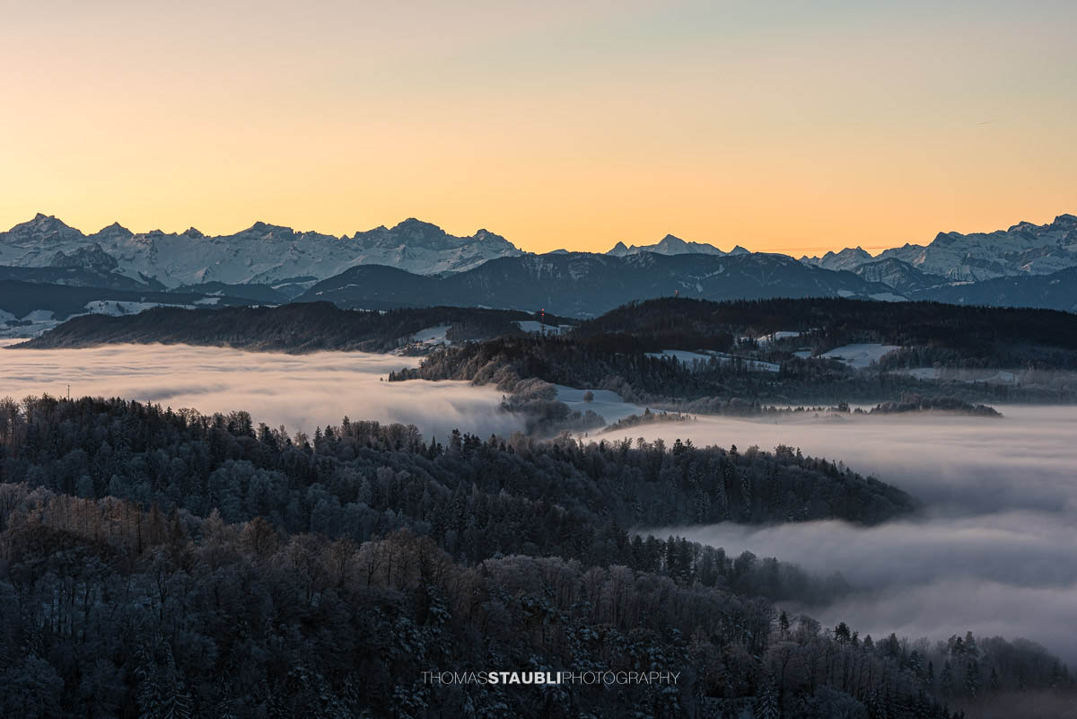 Blick vom Uetliberg über das Nebelmeer