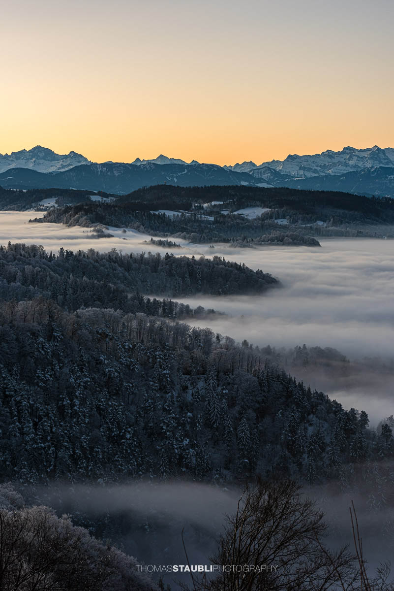 Blick vom Uetliberg über das Nebelmeer