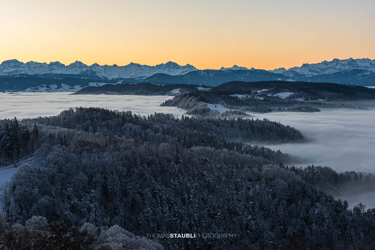 Blick vom Uetliberg über das Nebelmeer