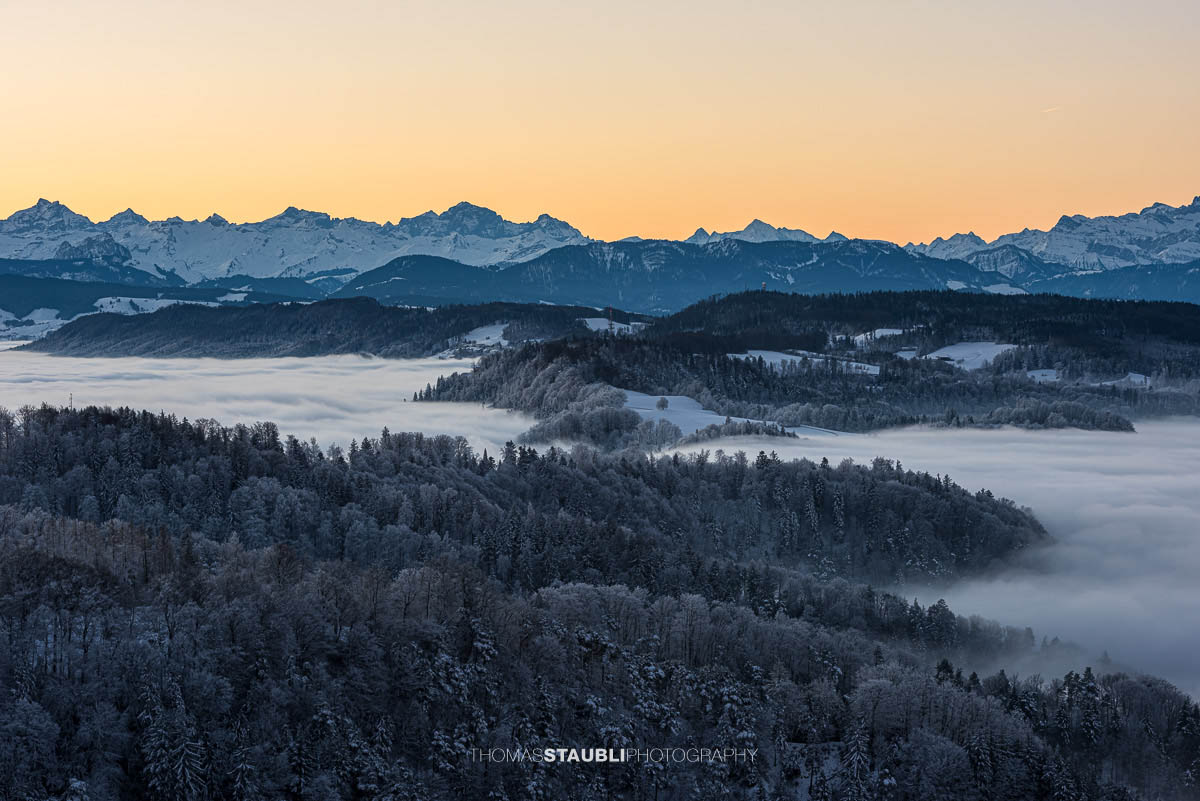 Blick vom Uetliberg über das Nebelmeer