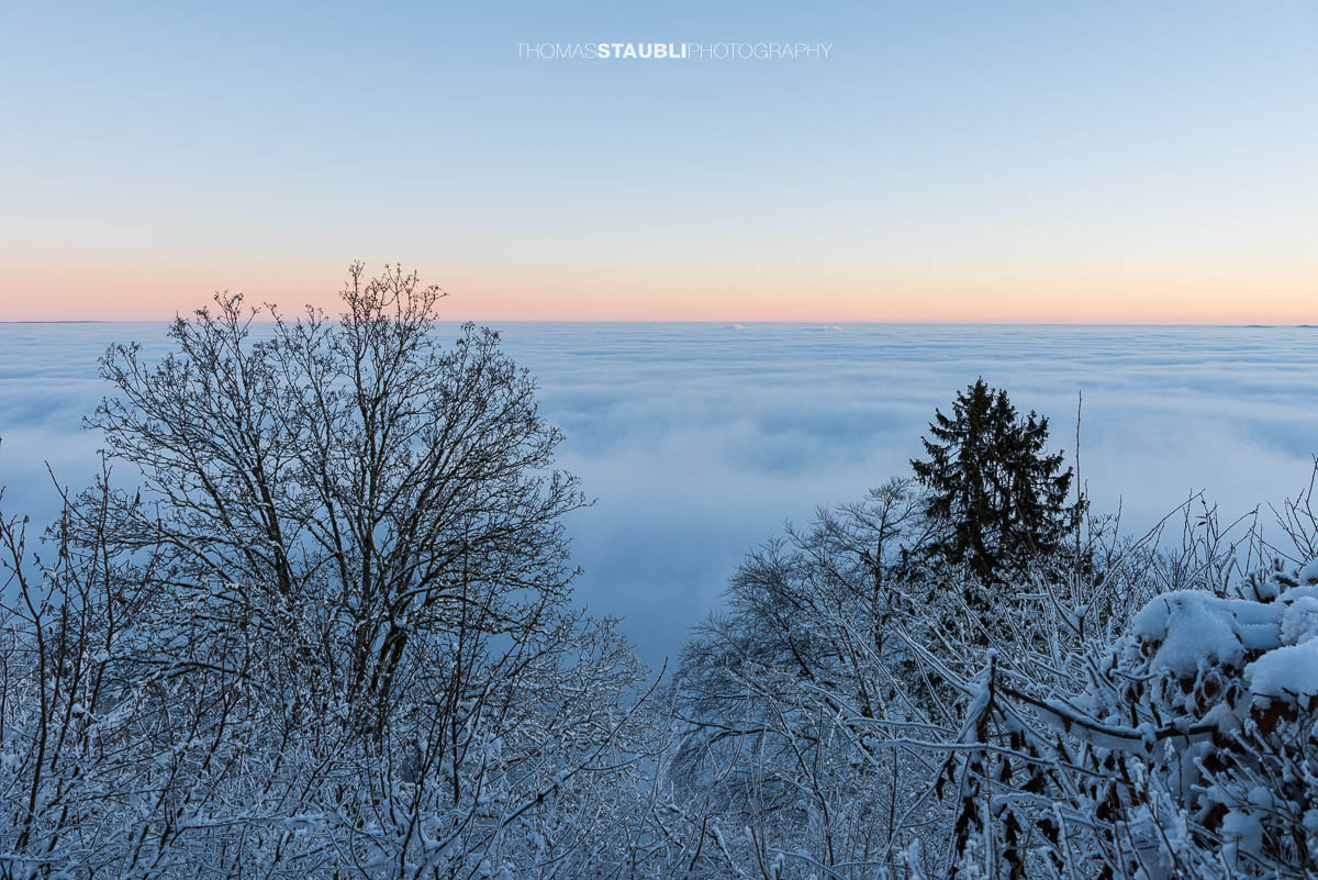 Nebelmeer über Zürich