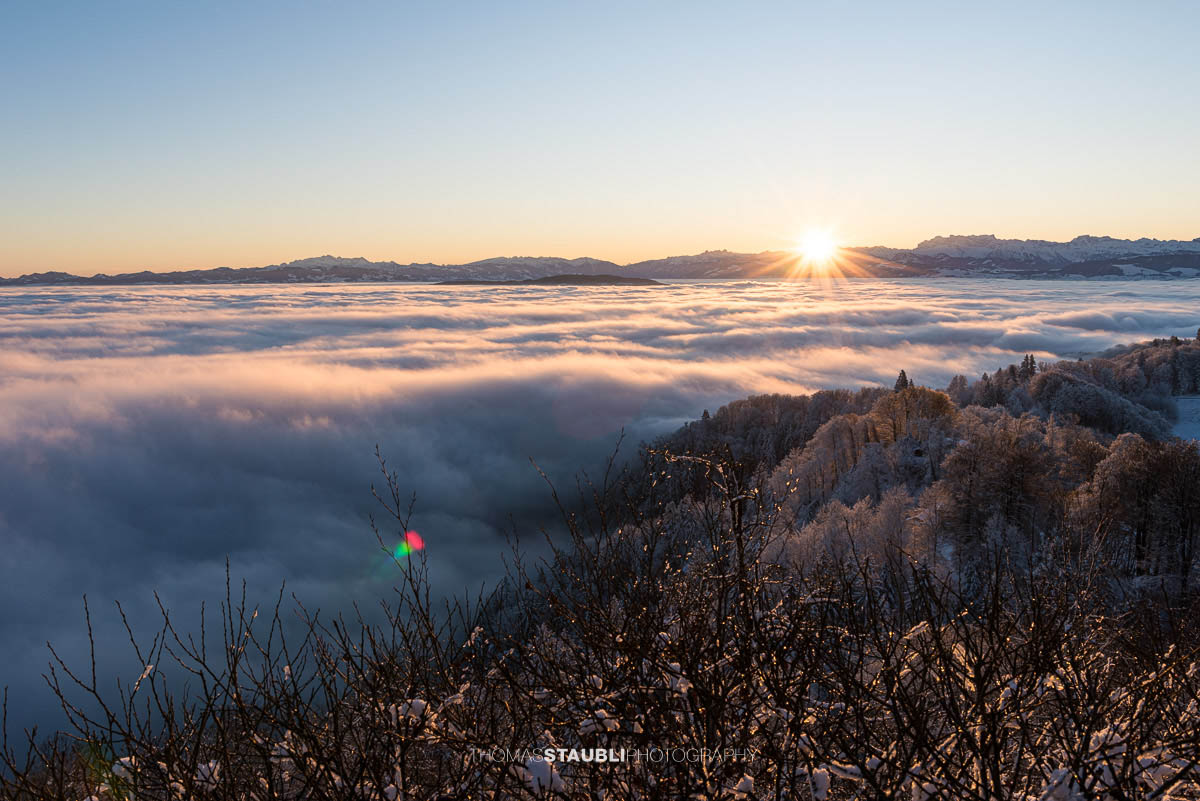 Sonnenaufgang auf dem Uetliberg