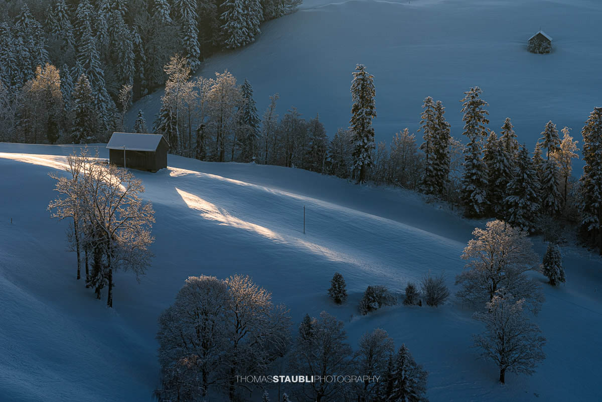 Verschneite Hügel mit einer Hütte und frostbedeckten Bäumen, beleuchtet von Sonnenstrahlen an einem Wintermorgen