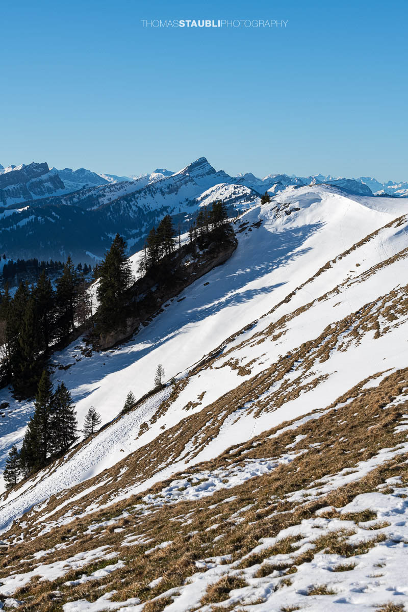 Winterimpressionen auf der Hochalp im Kanton Appenzell mit Blick zum Speer