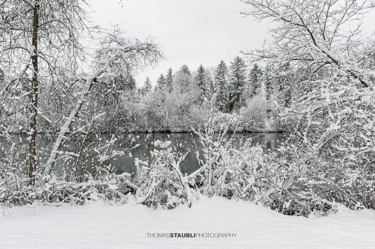 Winterlandschaft an der Reuss mit schneebedeckten Bäumen