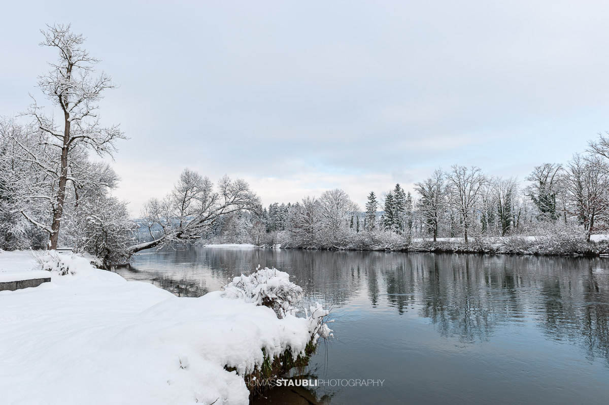 Verschneite Flusslandschaft an der Reuss mit Spiegelungen der Bäume im Wasser