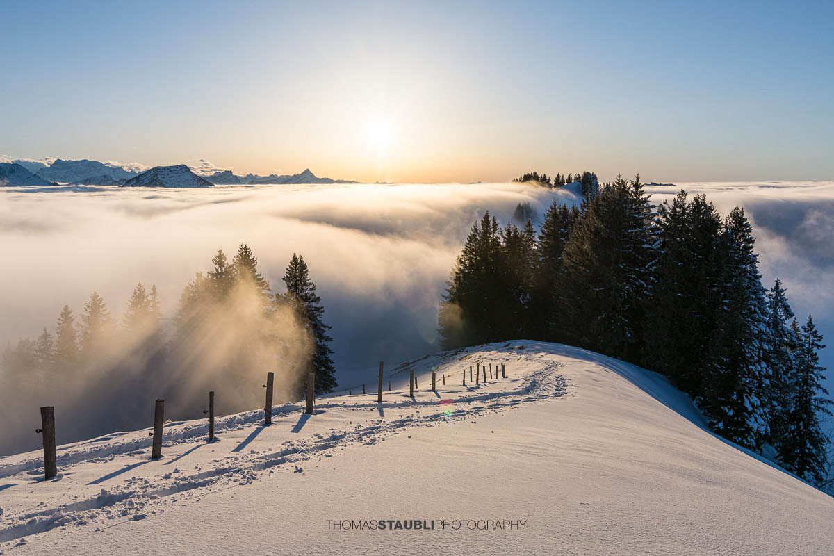 Nebelmeer über der Ostschweiz