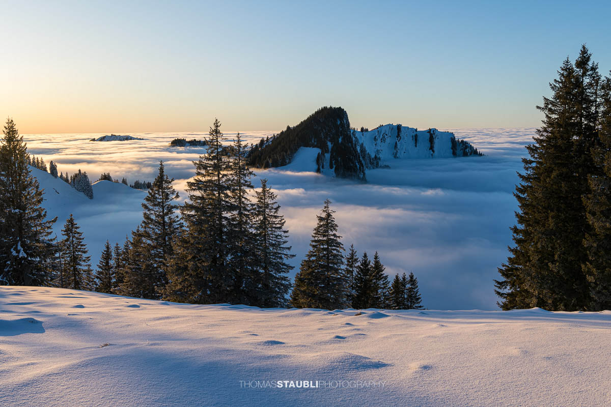 Blick vom Kronberg über das Nebelmeer