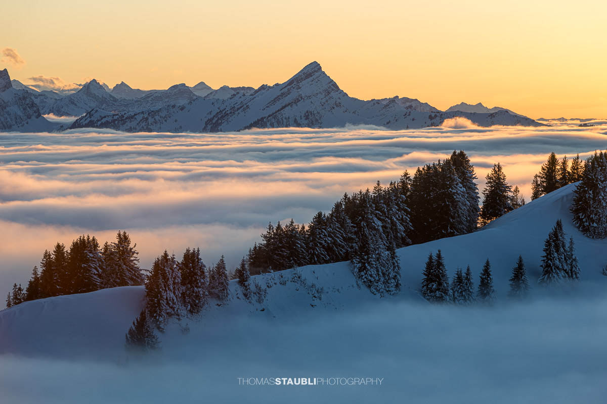 Abendstimmung über dem Nebelmeer