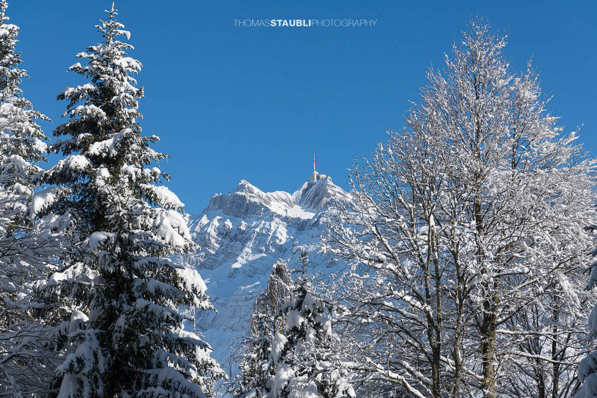Blick zum verschneiten Säntis