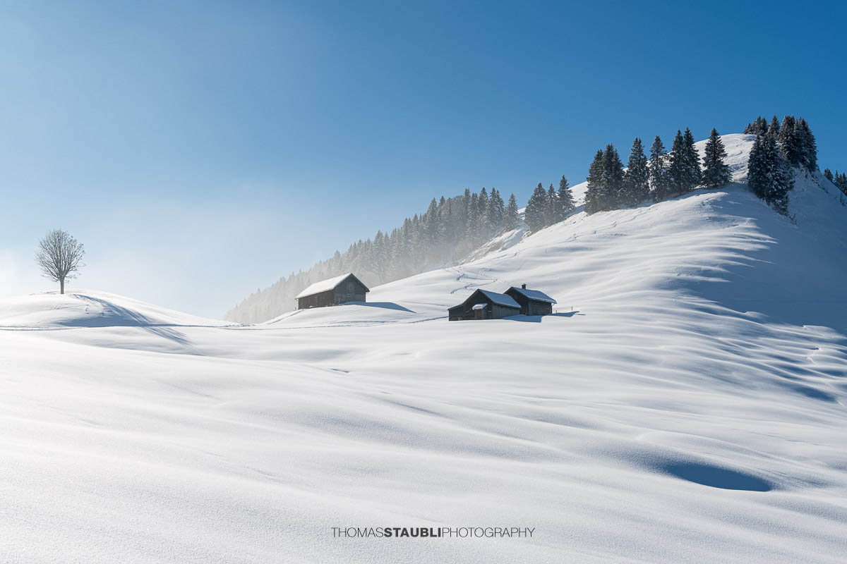 Winter auf dem Pfingstboden
