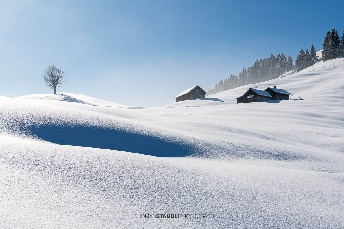 Winter auf dem Pfingstboden