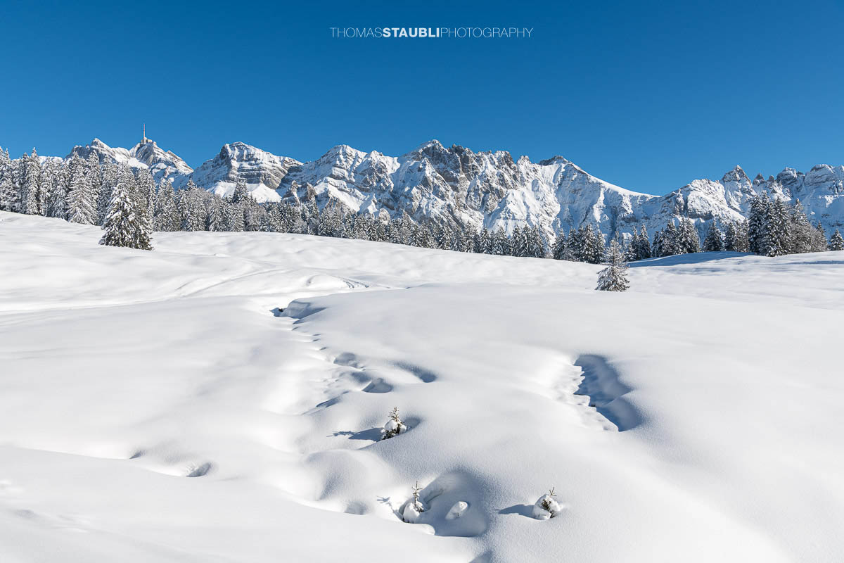 Blich zum verschneiten Säntis