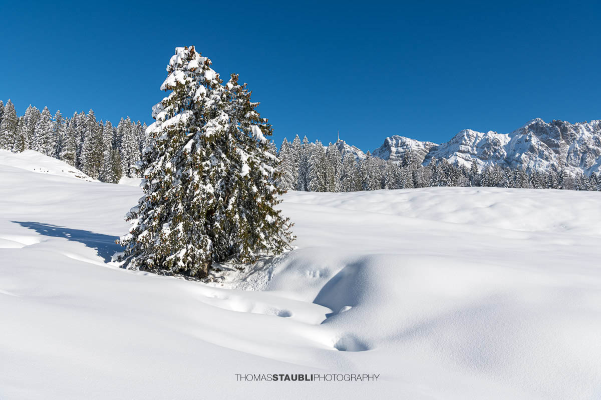 verschneite Winterlandschaft im Toggenburg