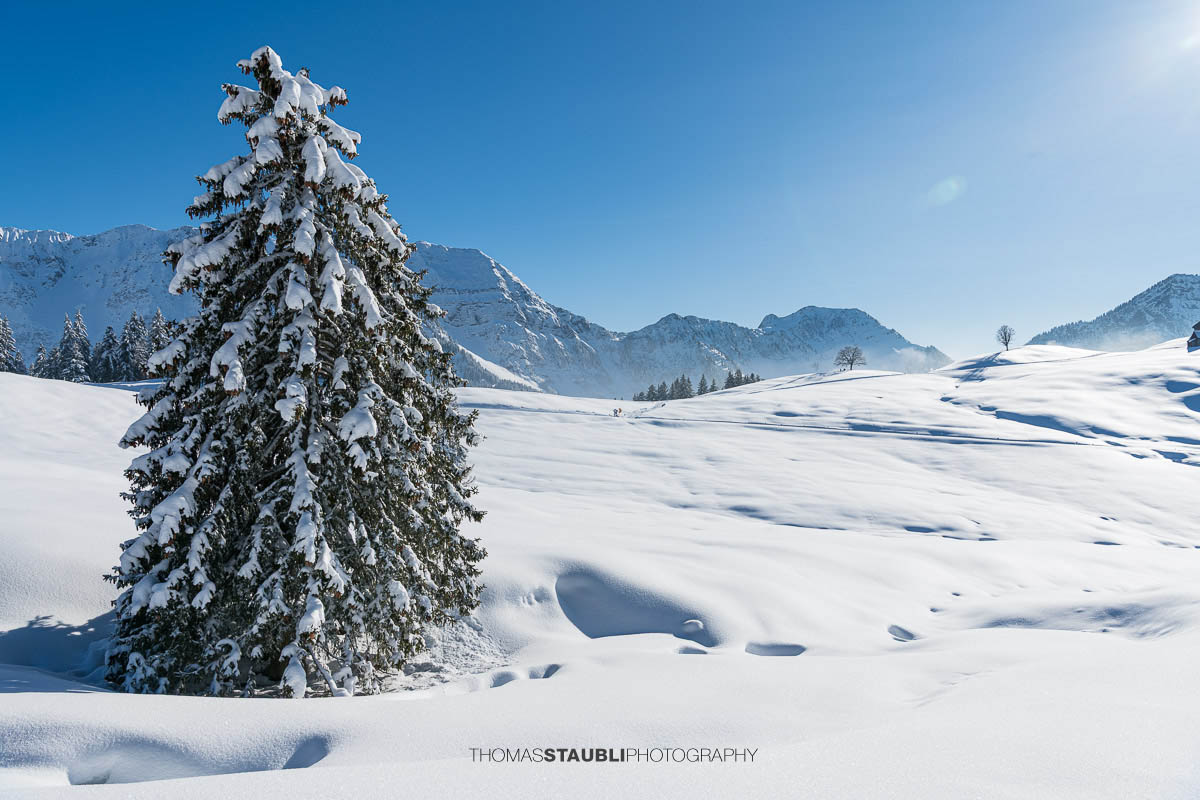 verschneite Winterlandschaft im Toggenburg