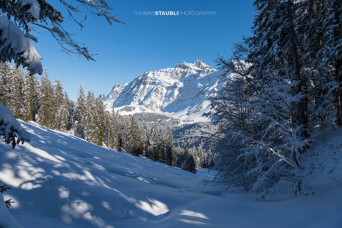 Blich vom Spicherweg zum verschneiten Säntis