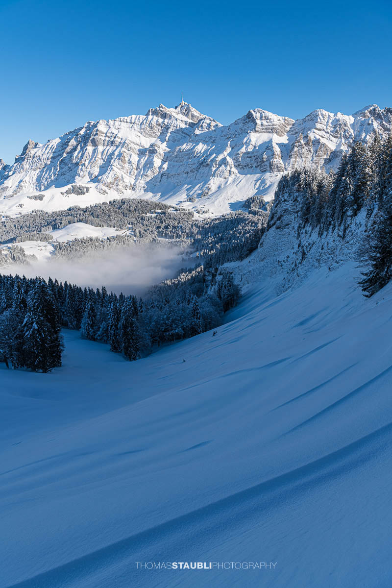 Blich vom Spicherweg zum verschneiten Säntis