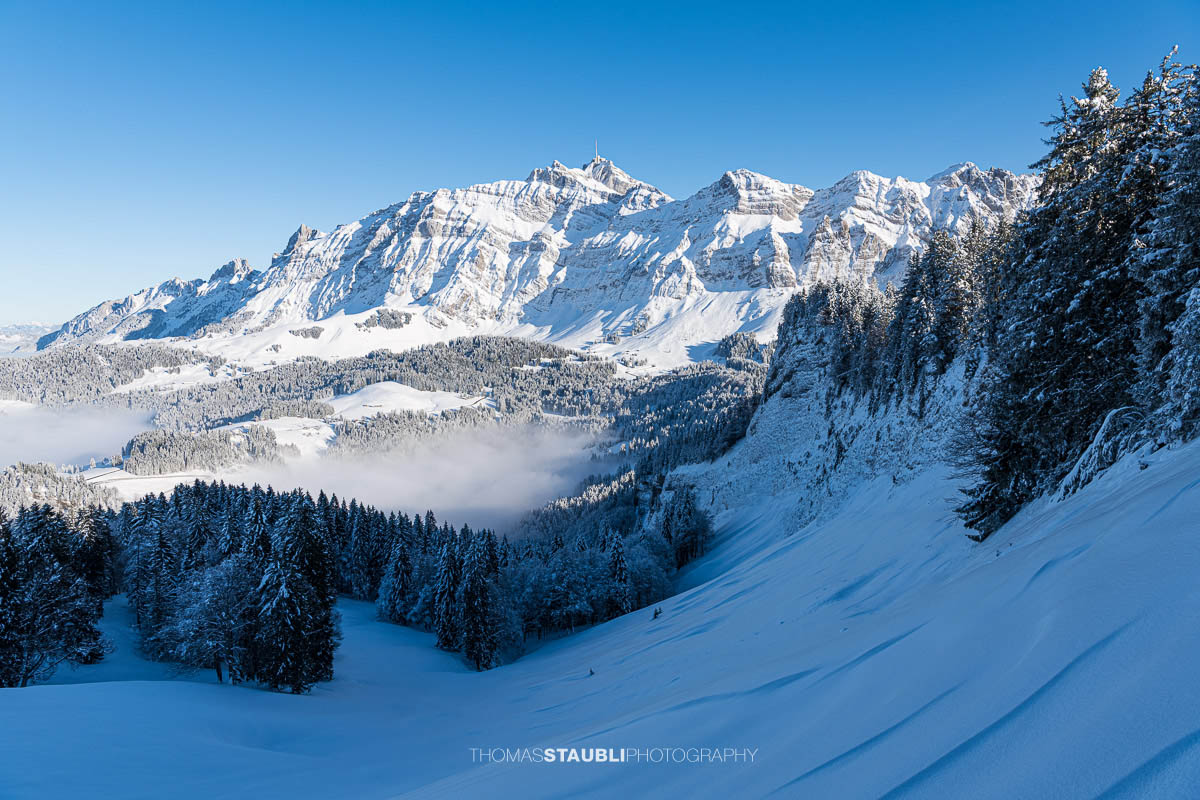 Blich vom Spicherweg zum verschneiten Säntis